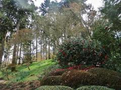 149 PARC ORIENTAL DE MAULEVIER MAINE ET LOIRE 2016 N0_000030